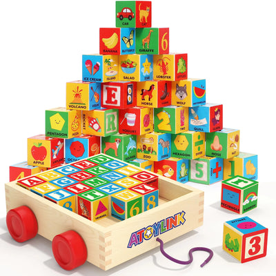 Wooden Building Blocks (30 Pcs) Learning & Education Montessori Toys
